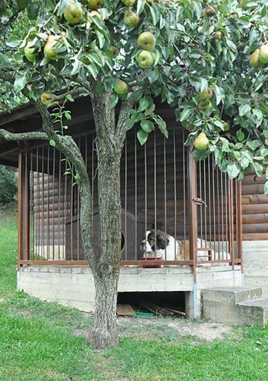 Садиба У Крайлюків Yaremche Exterior photo